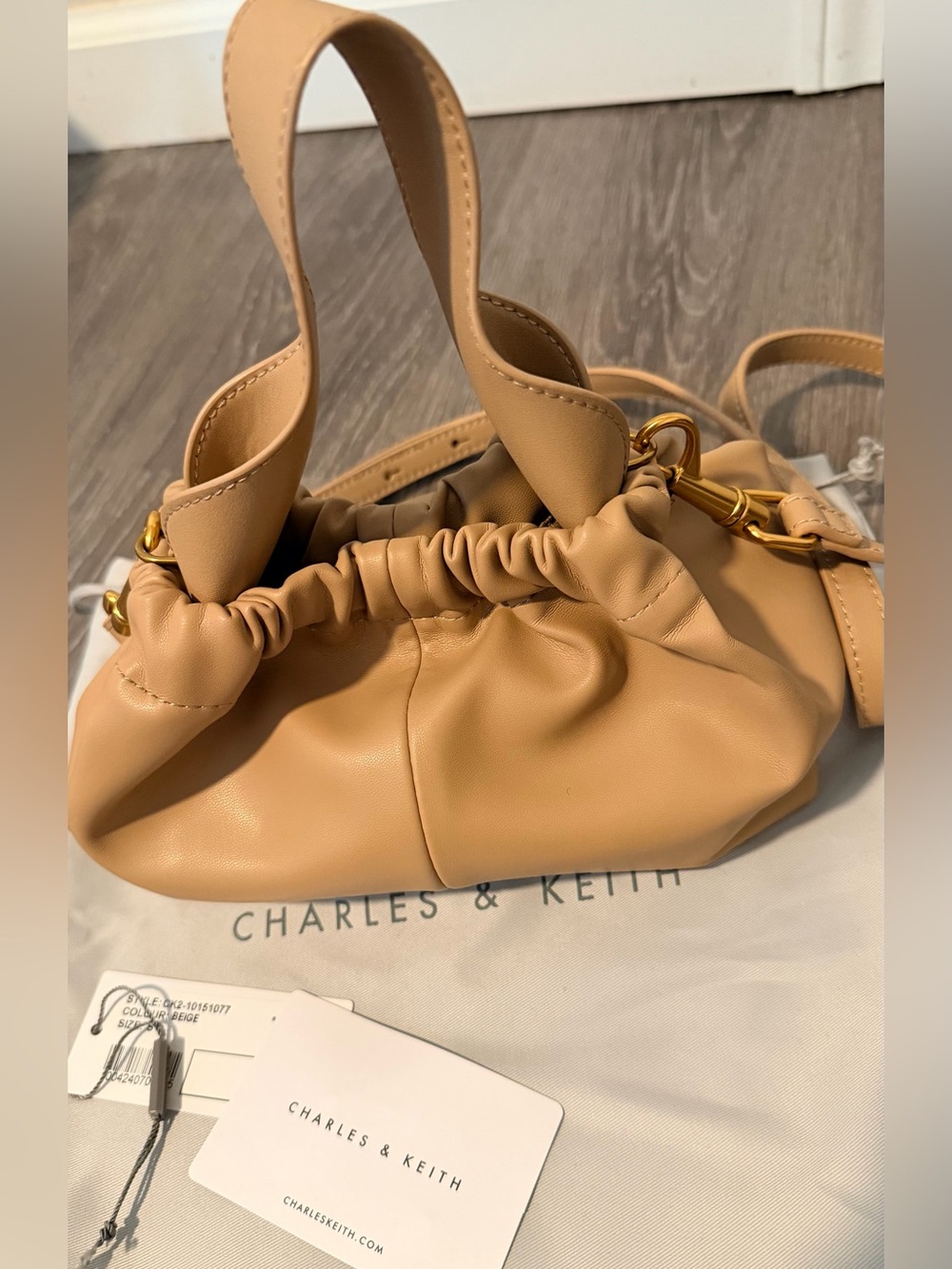 Charles & Keith mini Pleated Cloud Bag